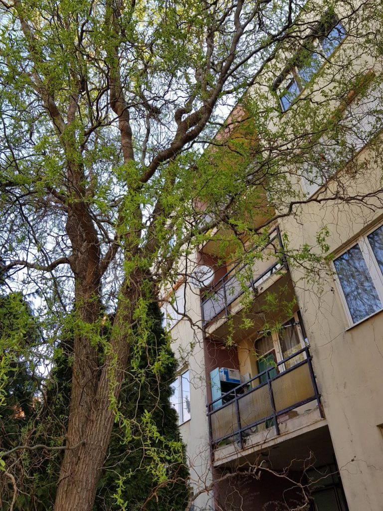 20190405_084154