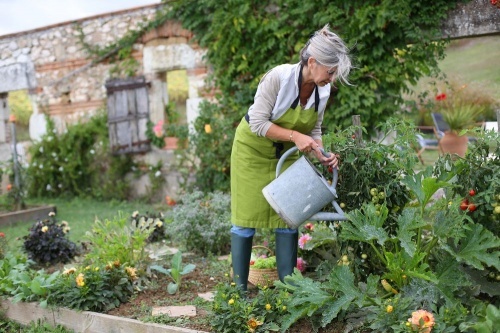 Agroinform 20140529202512 shutterstock konyhakert