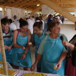 P1500879