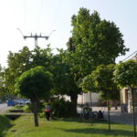 P1550401