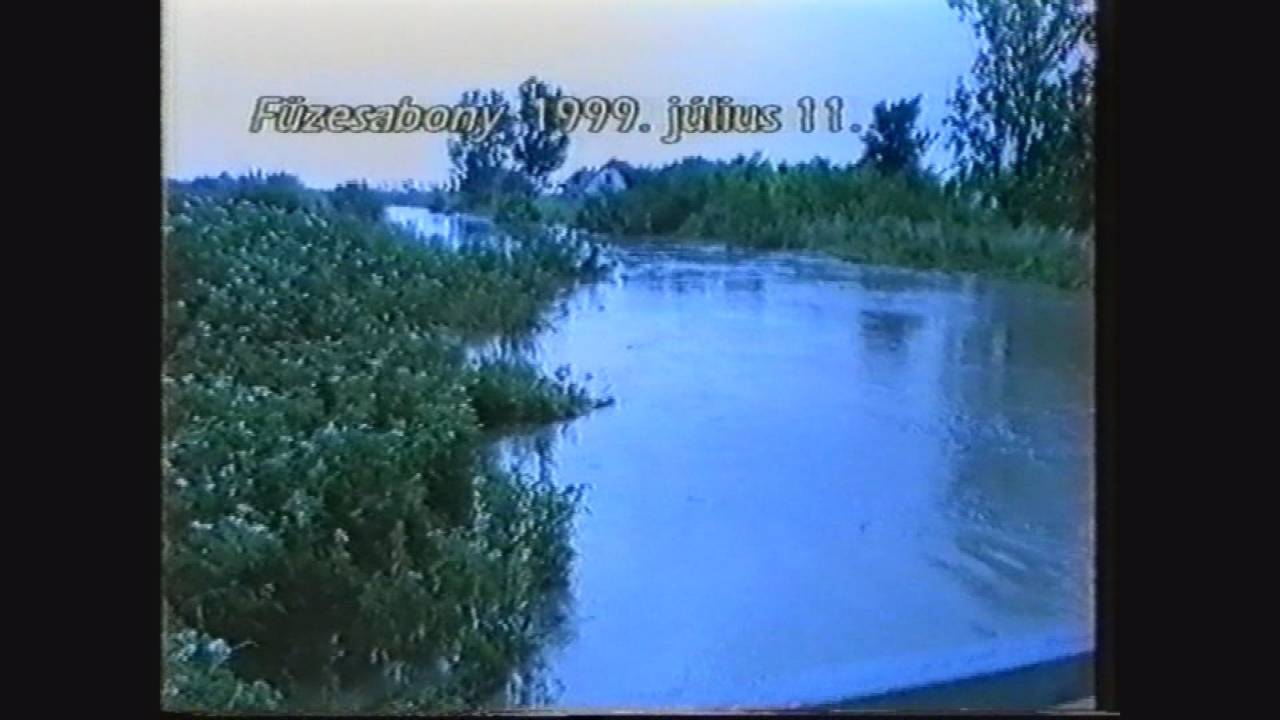 Arvizjo00000000