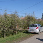 P1590126