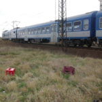 P1590245