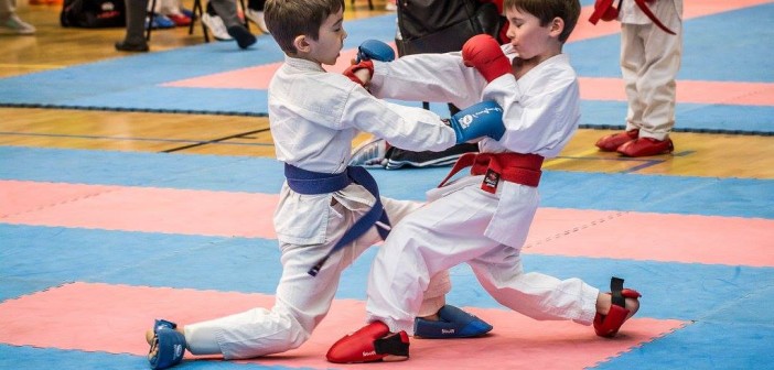 Karate bushido