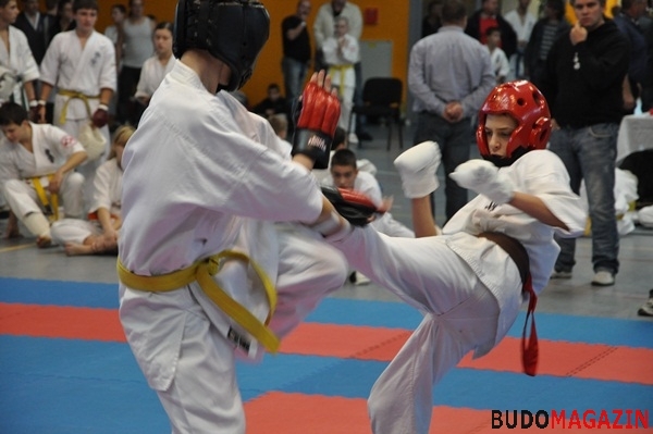 Budo