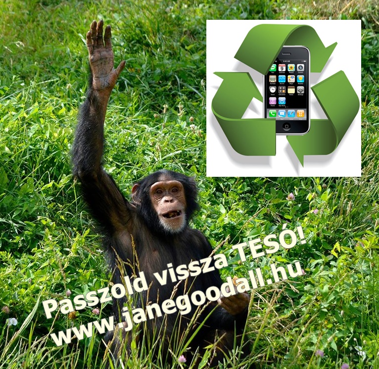 Passzold vissza Tesó!