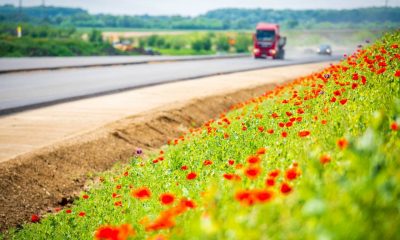 M25 majus