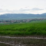 DSC01736