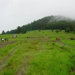DSC01739