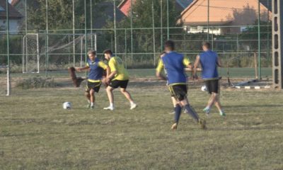 Foci00000000