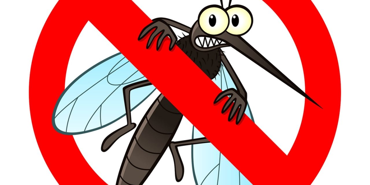 Szúnyoggyérítés