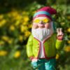 Dwarf 1336495