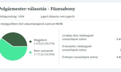 Szavazas polg