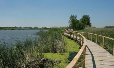 Tisza tĂł