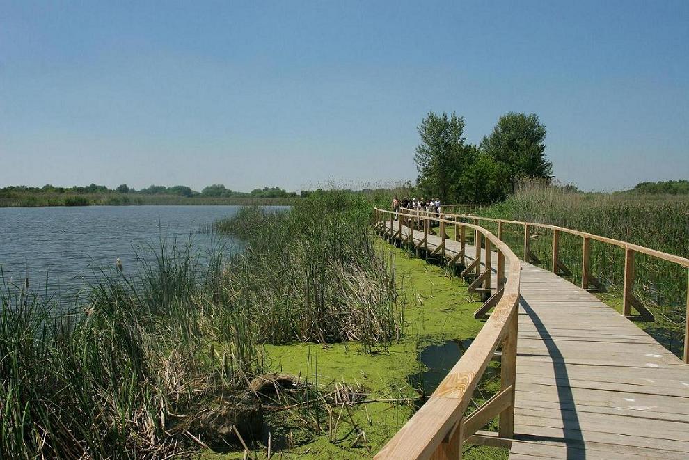 Tisza tĂł