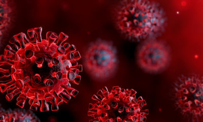 Koronavirus