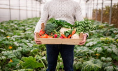 Minosegi elelmiszer690