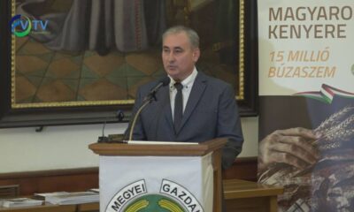 Magyrokkenyere00000000