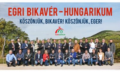Bikaver hungarikum kozep 1024x591