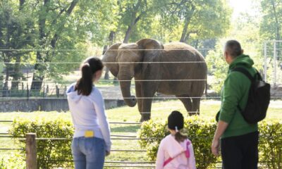 54c5c24052161508f133aa8ea50e99e3193a2ff4 fhd 1920 w3h2