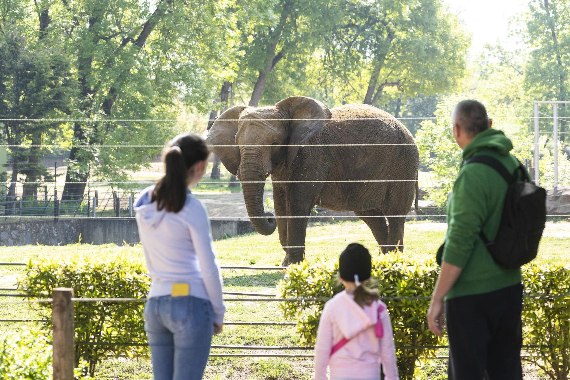 54c5c24052161508f133aa8ea50e99e3193a2ff4 fhd 1920 w3h2