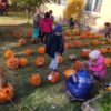 IMG 20211022