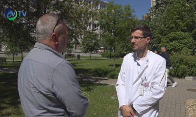 Kullancs csípés00000000