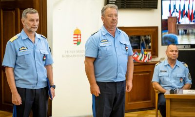Czinege2