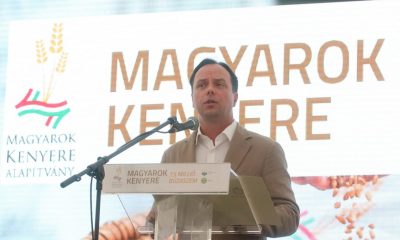 Nyitrai búzaösszeöntés Magyarok Kenyere