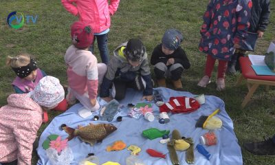 Víz hétszín00000000