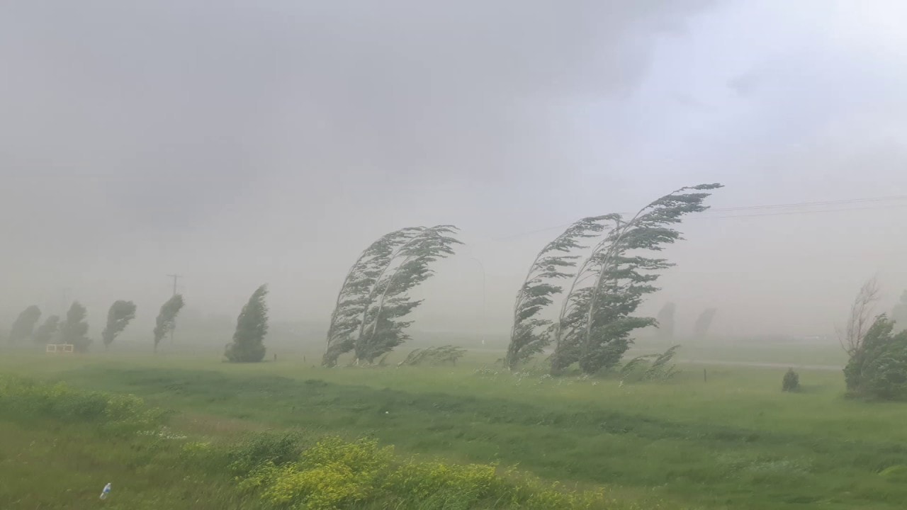 Windstorm