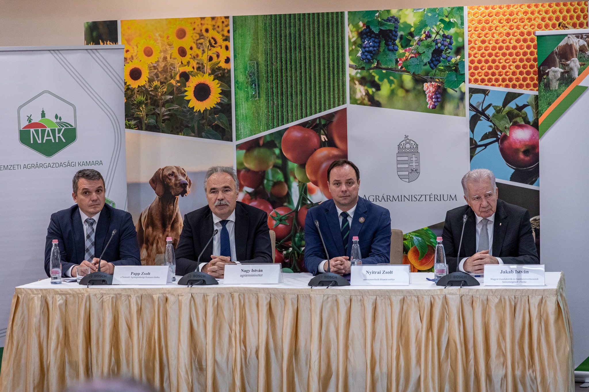 496535451 1268254227995769 7723193215644693951 n