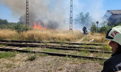 531874850 1187878216712306 6085417802871261779 n