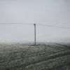 Frosty field with electric pole in a misty day