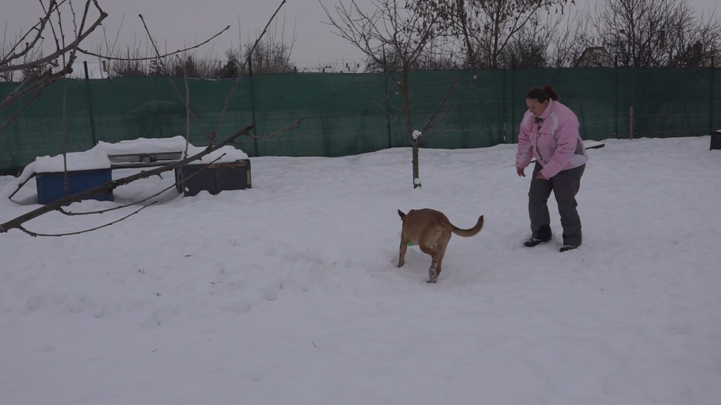 Clip2123(1)T01