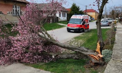 658128912 1374503444716448 8313191535197136363 n