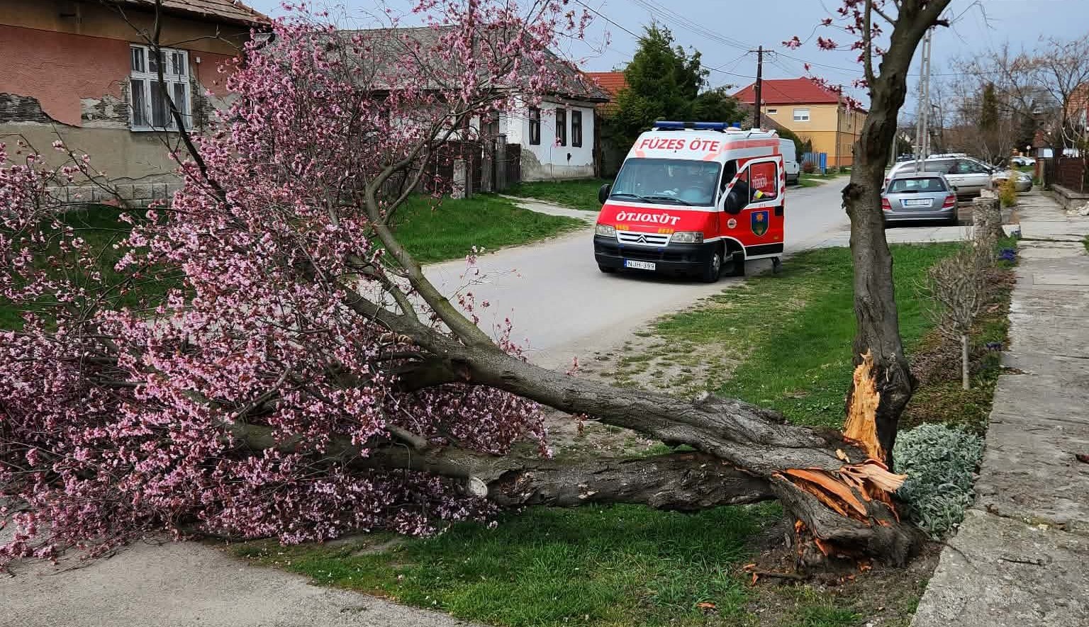 658128912 1374503444716448 8313191535197136363 n