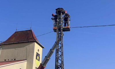 7c9887fb cdb8 49b5 a7f3 33368b6e2851