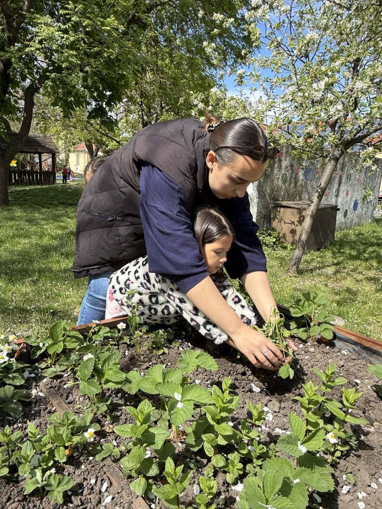 30fca0bf 875d 46a8 9ca7 6491201dcd34