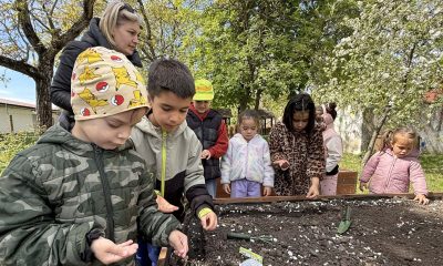 8d5905b7 a244 49a5 be0e 4c9e27694b7d