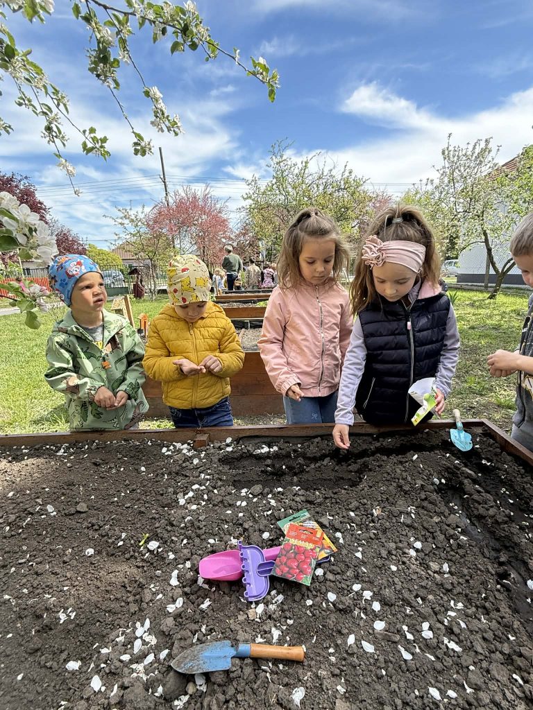 Da501939 b25e 41ab b436 02207695706a