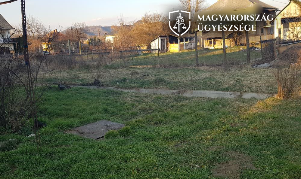Elvágta a macska nyakát