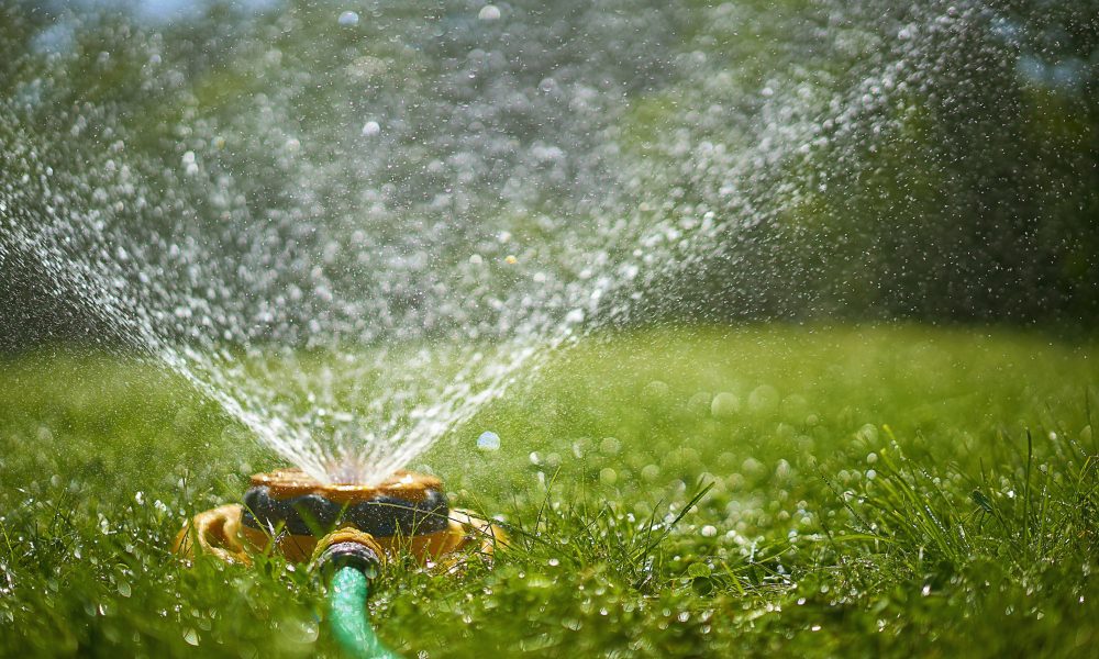 Surface level view of backyard sprinkler spraying