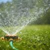 Surface level view of backyard sprinkler spraying