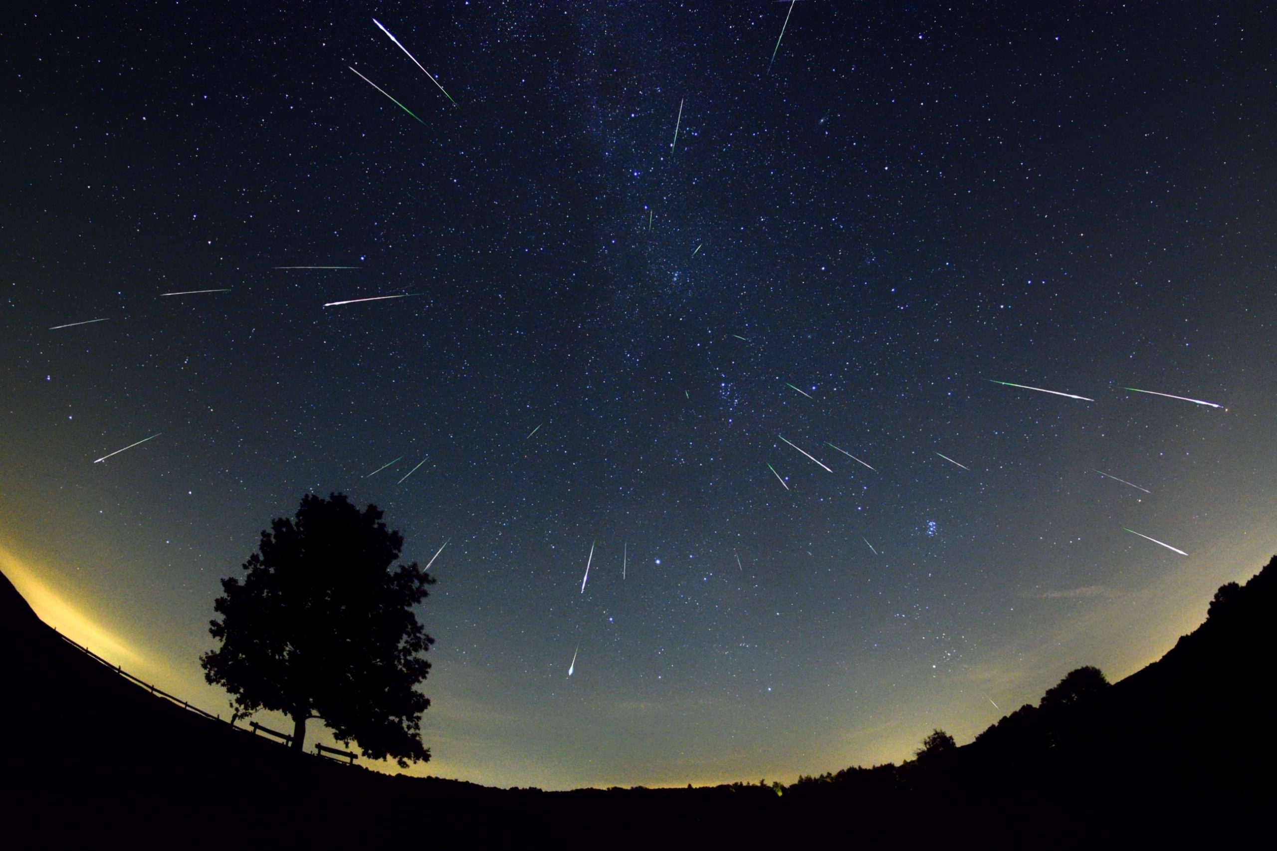 Perseidak