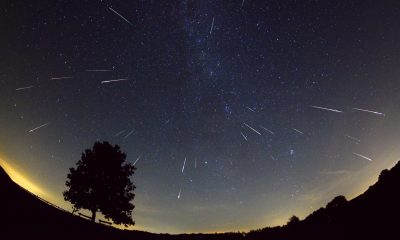 Perseidak
